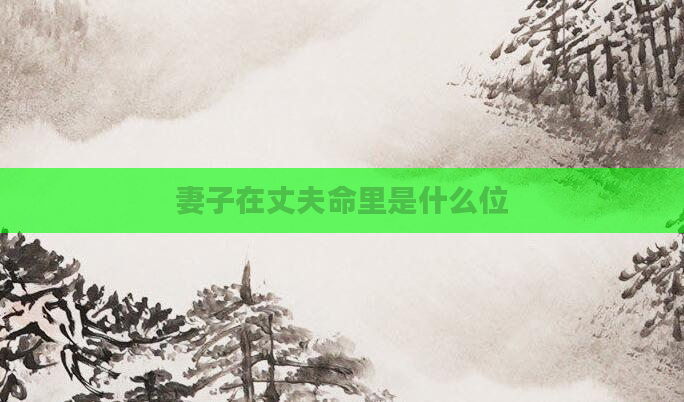 妻子在丈夫命里是什么位