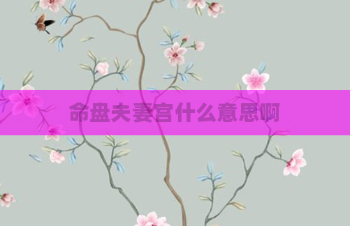 命盘夫妻宫什么意思啊