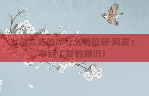 七杀太旺的命什么特征好 网友：学到了新的知识！