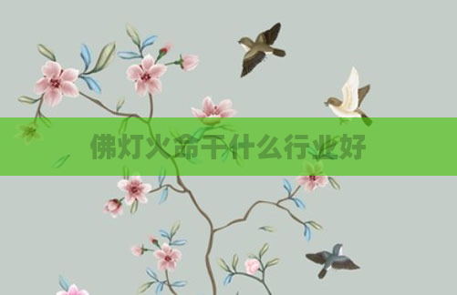 佛灯火命干什么行业好