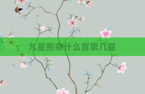 九星照命什么宫第几星
