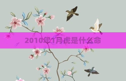 2010年1月虎是什么命