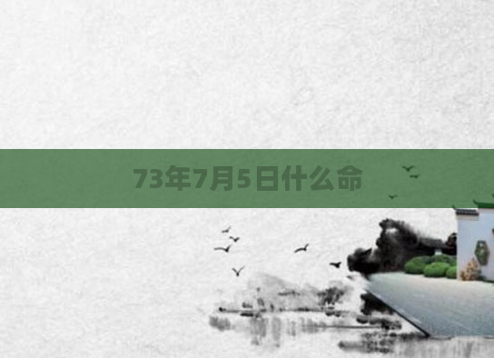 73年7月5日什么命