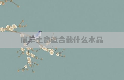 属羊土命适合戴什么水晶