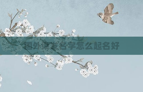 国外染发名字怎么起名好