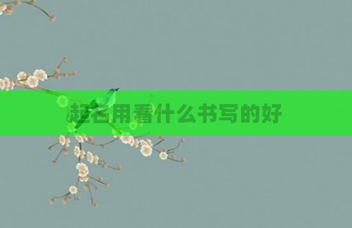 起名用看什么书写的好