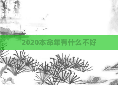 2020本命年有什么不好