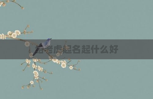 给老虎起名起什么好