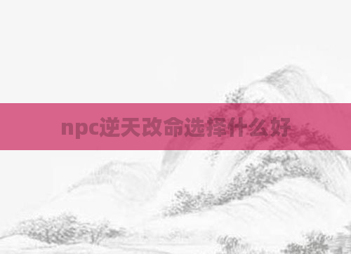 npc逆天改命选择什么好