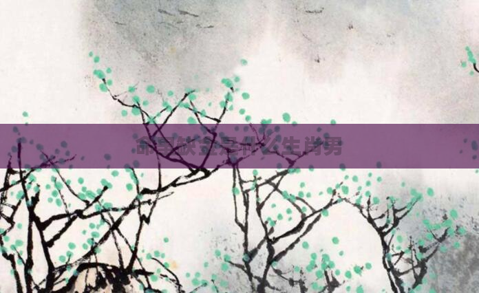 命里缺金是什么生肖男