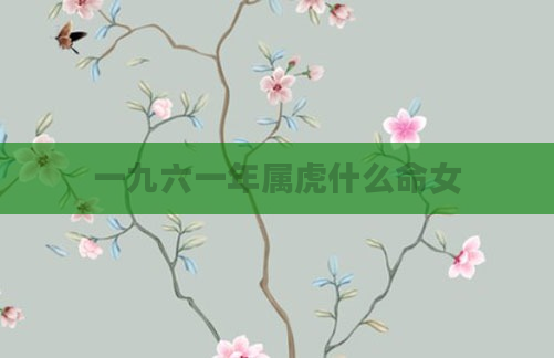 一九六一年属虎什么命女