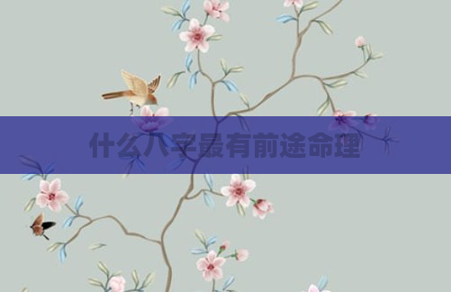 什么八字最有前途命理