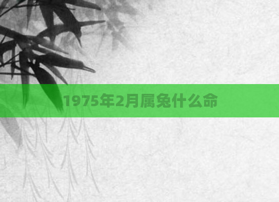 1975年2月属兔什么命