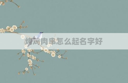 烤鸡肉串怎么起名字好