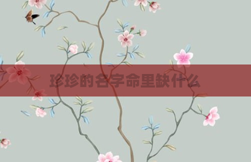 珍珍的名字命里缺什么