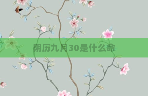 阴历九月30是什么命