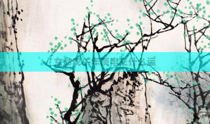 女命戊午年庚申交什么运