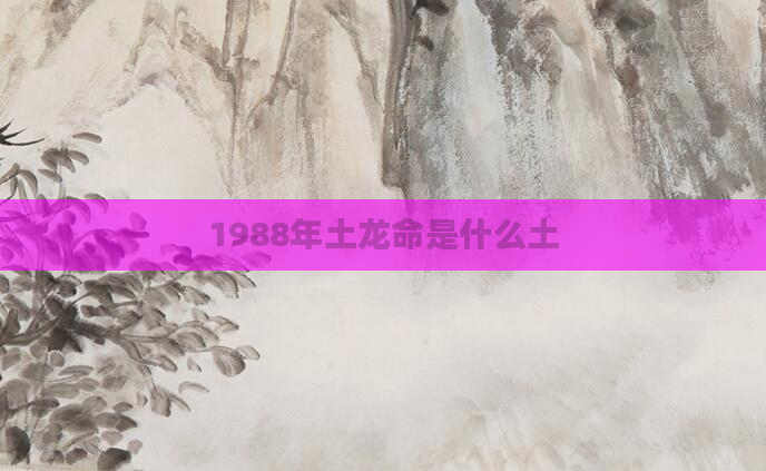 1988年土龙命是什么土