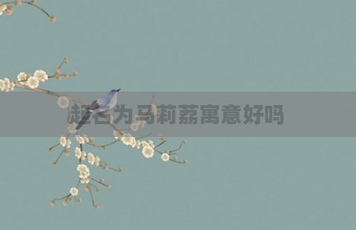 起名为马莉荔寓意好吗