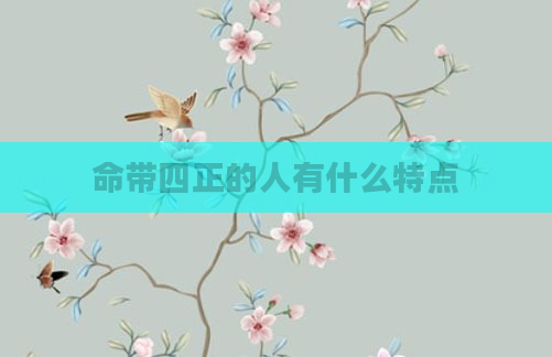 命带四正的人有什么特点