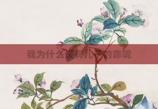 我为什么没有儿子的命呢
