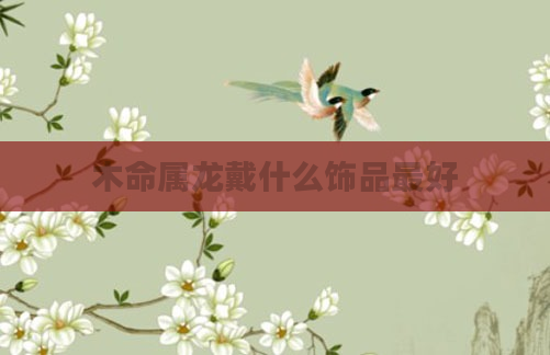 木命属龙戴什么饰品最好