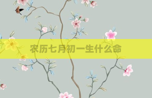 农历七月初一生什么命