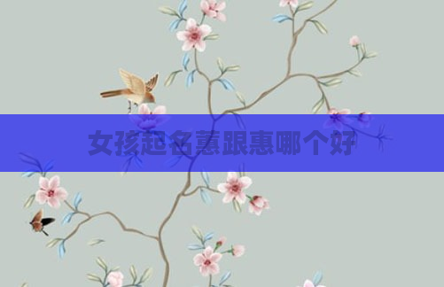 女孩起名蕙跟惠哪个好