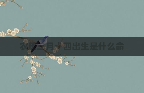 农历三月十四出生是什么命