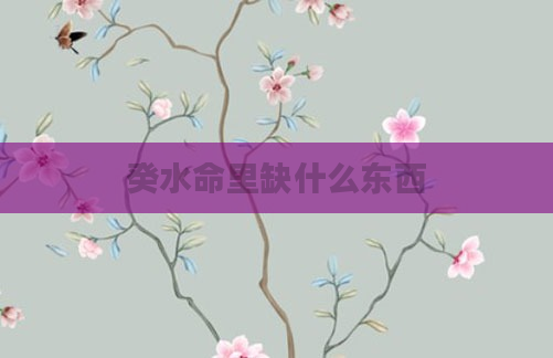 癸水命里缺什么东西