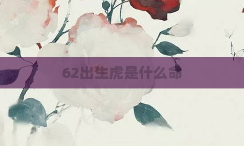62出生虎是什么命
