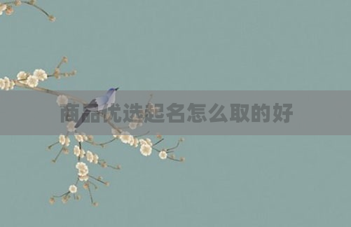 商品优选起名怎么取的好