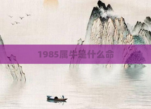 1985属牛是什么命