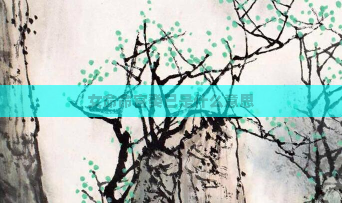 女命命宫癸巳是什么意思