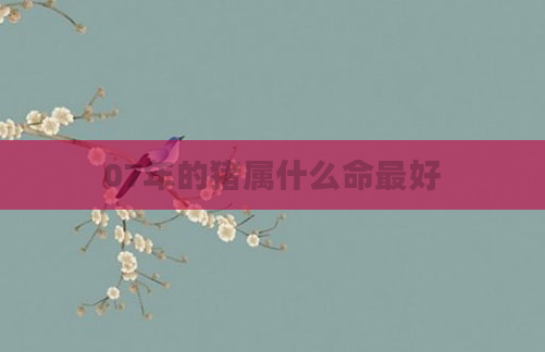 07年的猪属什么命最好