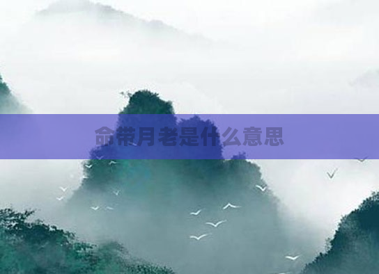 命带月老是什么意思