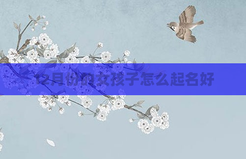 12月份的女孩子怎么起名好