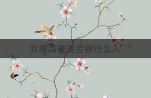 女命高贵适合稼什么人