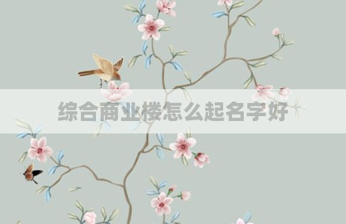 综合商业楼怎么起名字好