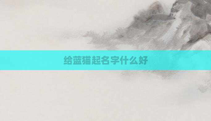 给蓝猫起名字什么好