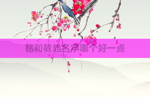 铭和敏起名字哪个好一点