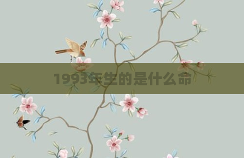 1993年生的是什么命