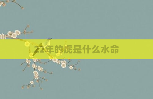 22年的虎是什么水命