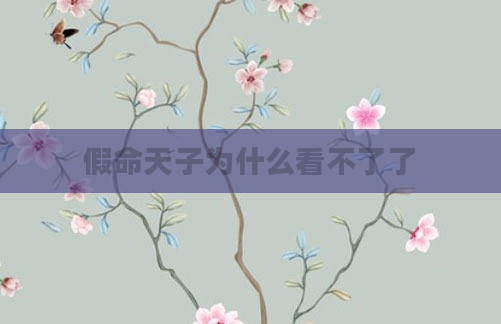 假命天子为什么看不了了