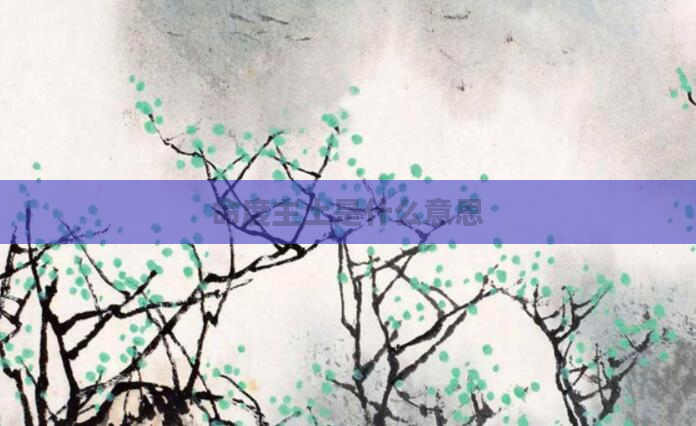 命度主土是什么意思