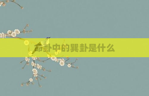 命卦中的巽卦是什么