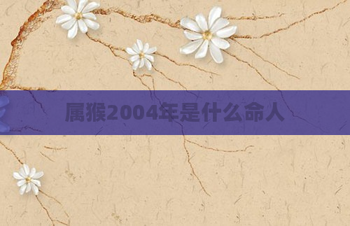 属猴2004年是什么命人
