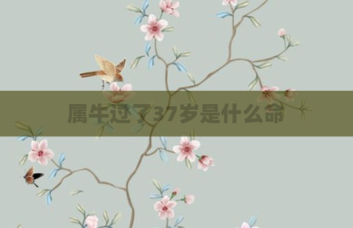 属牛过了37岁是什么命