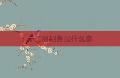 十二属相各是什么命