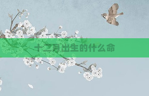 十二月出生的什么命